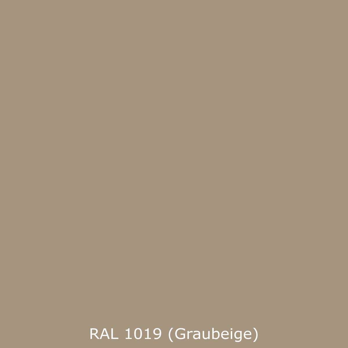 Spritzschutz Küche Einfarbig RAL 1019 Graubeige