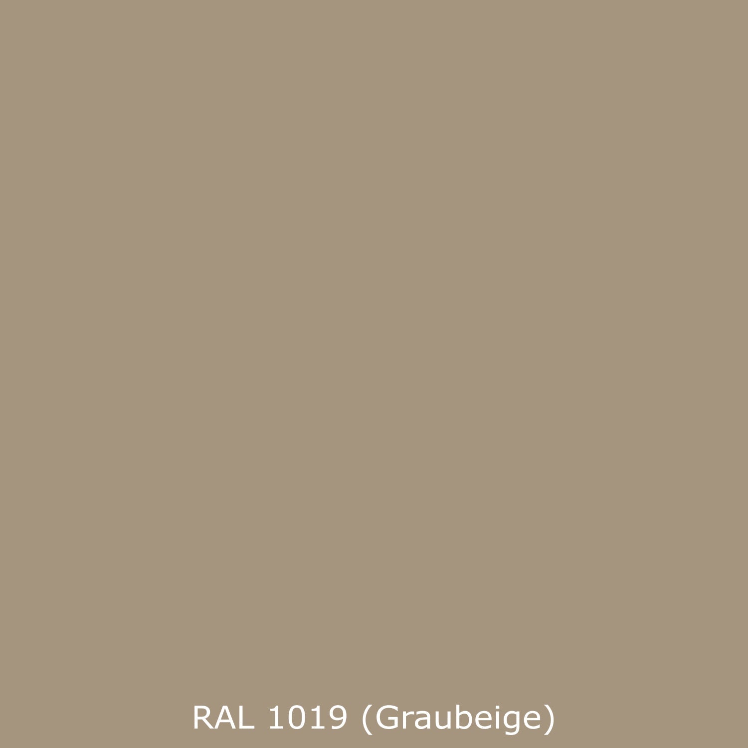 Spritzschutz Küche Einfarbig RAL 1019 Graubeige