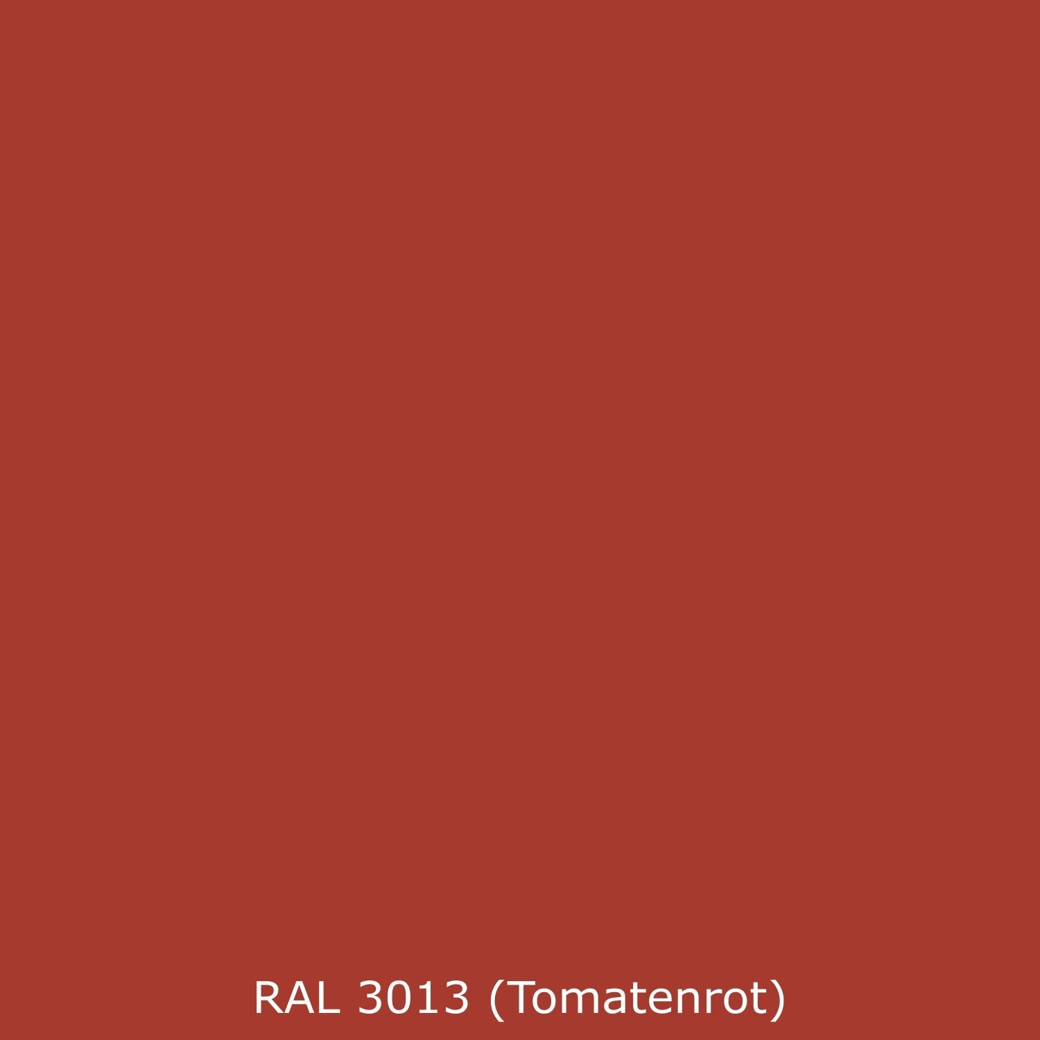 Spritzschutz Küche Einfarbig RAL 3013 Tomatenrot
