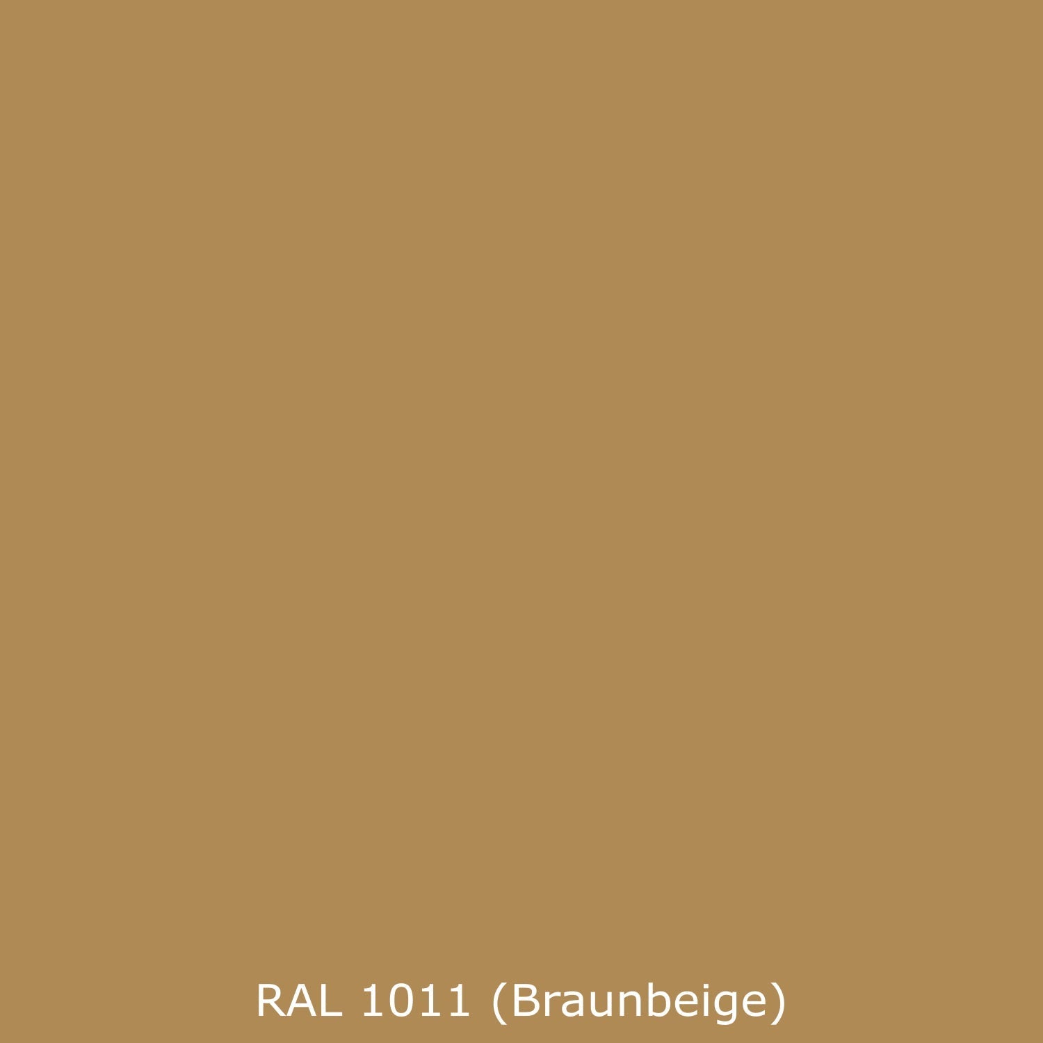 Spritzschutz Küche Einfarbig RAL 1011 Braunbeige