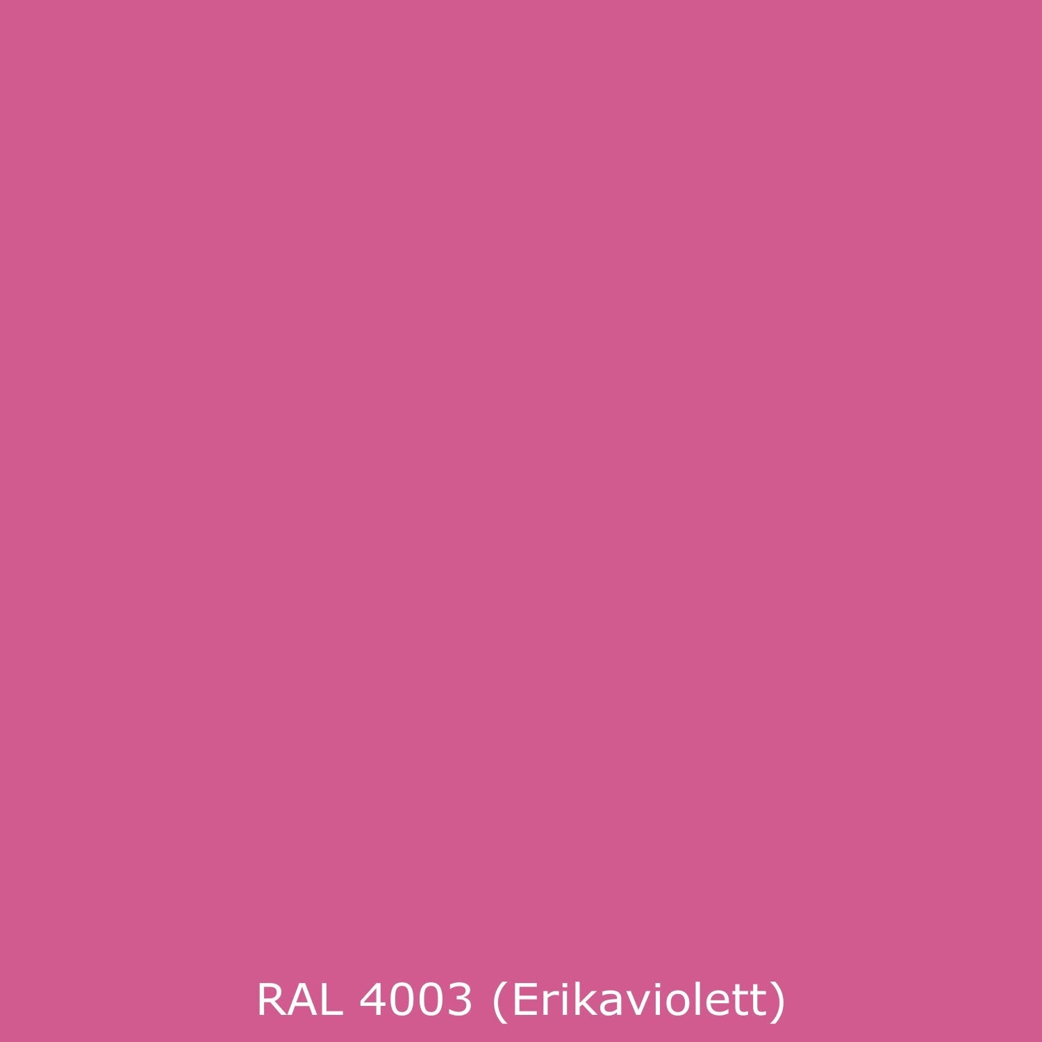 Spritzschutz Küche Einfarbig RAL 4003 Erikaviolett