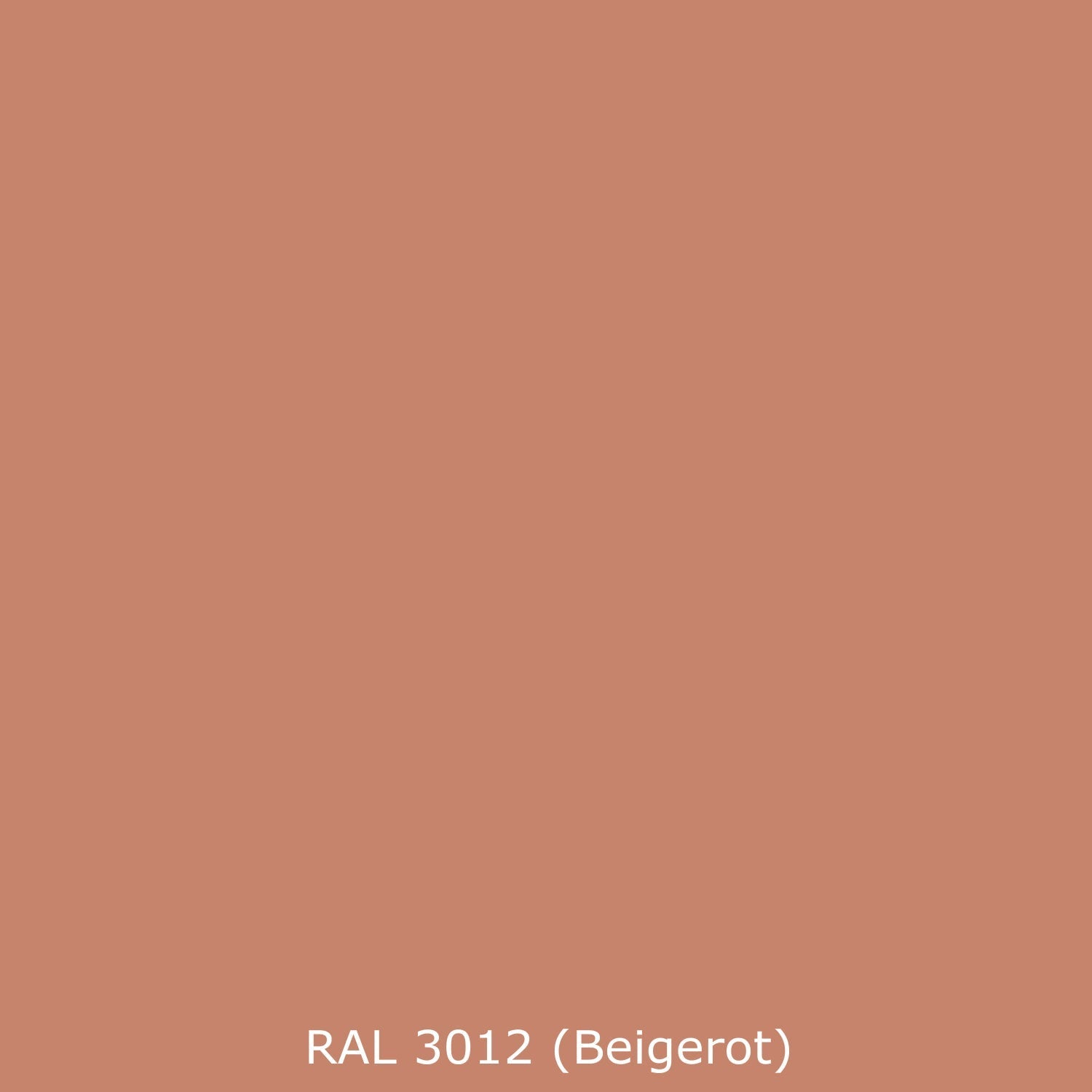 Spritzschutz Küche Einfarbig RAL 3012 Beigerot