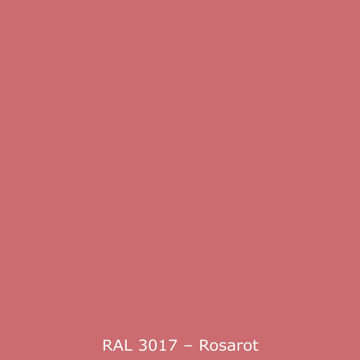 Spritzschutz Küche Einfarbig RAL 3017 Rose