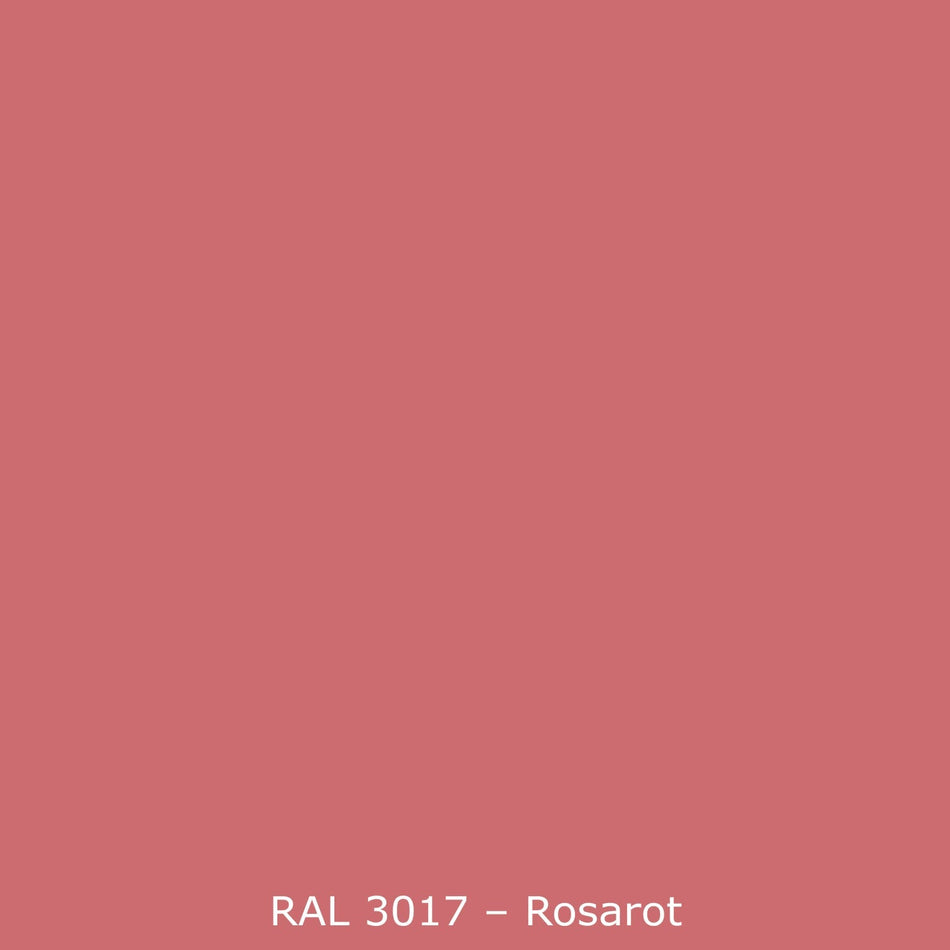 Spritzschutz Küche Einfarbig RAL 3017 Rose