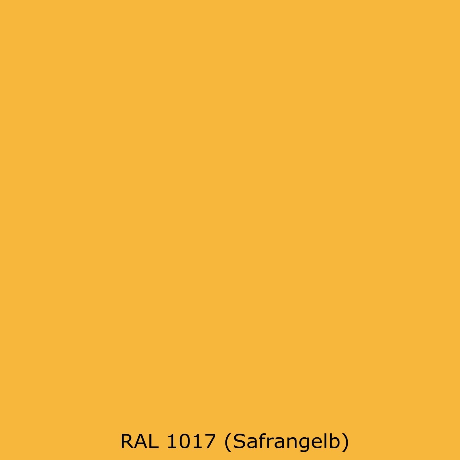 Spritzschutz Küche Einfarbig RAL 1017 Safrangelb