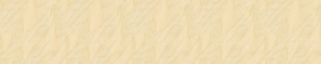 Spritzschutz Küche Holzoptik