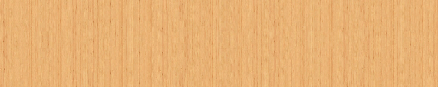 Spritzschutz Küche Holzoptik