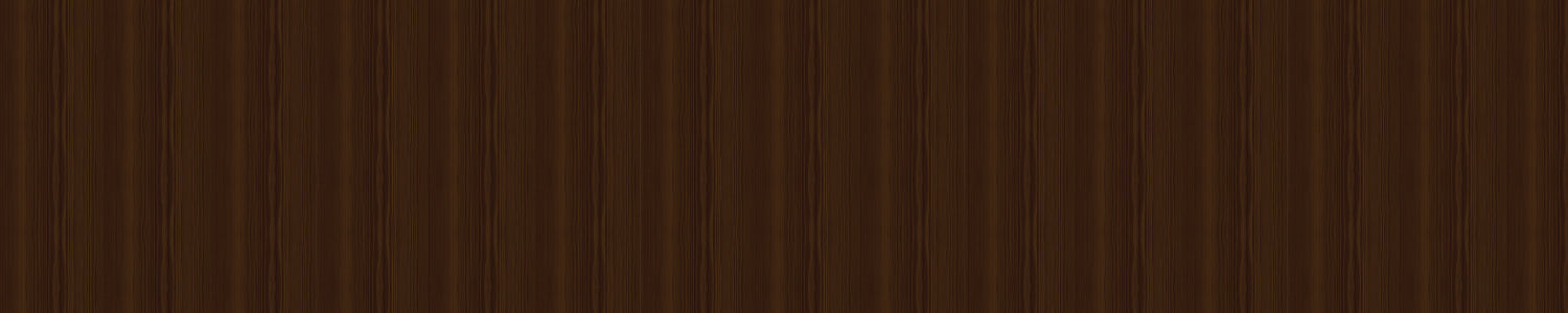 Spritzschutz Küche Holzoptik