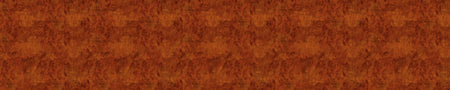 Küchenrückwand Holzoptik