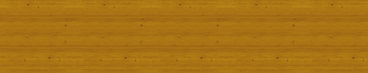Spritzschutz Küche Holzoptik
