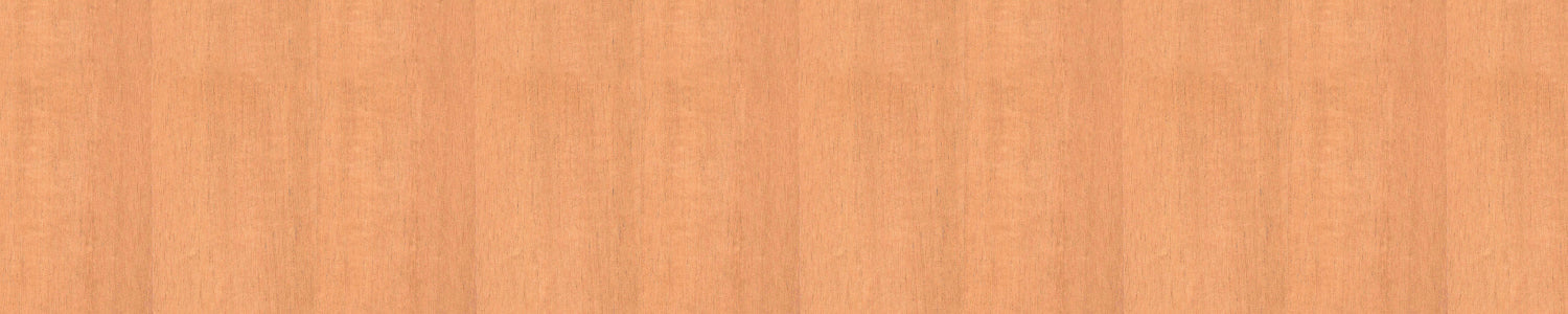 Spritzschutz Küche Holzoptik