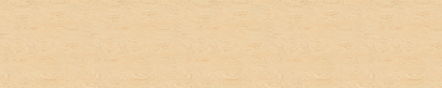 Spritzschutz Küche Holzoptik