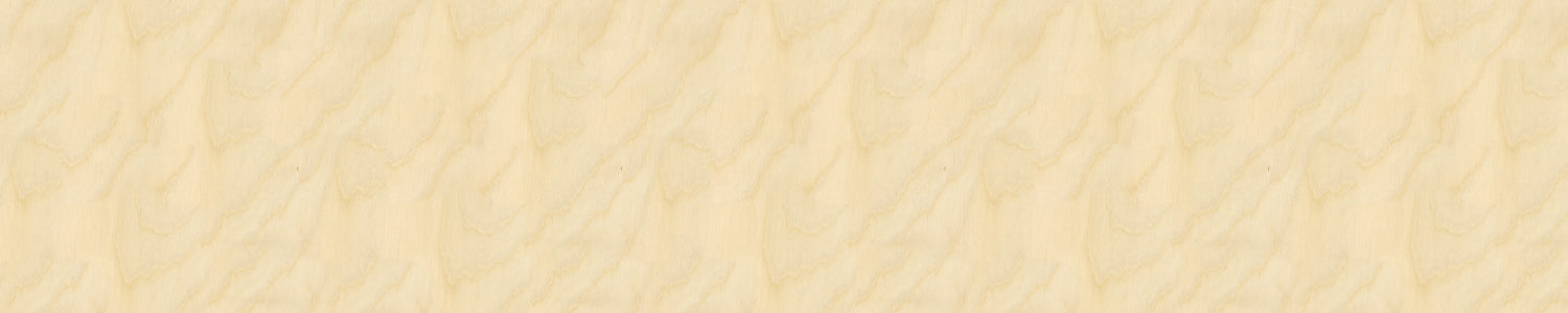Spritzschutz Küche Holzoptik