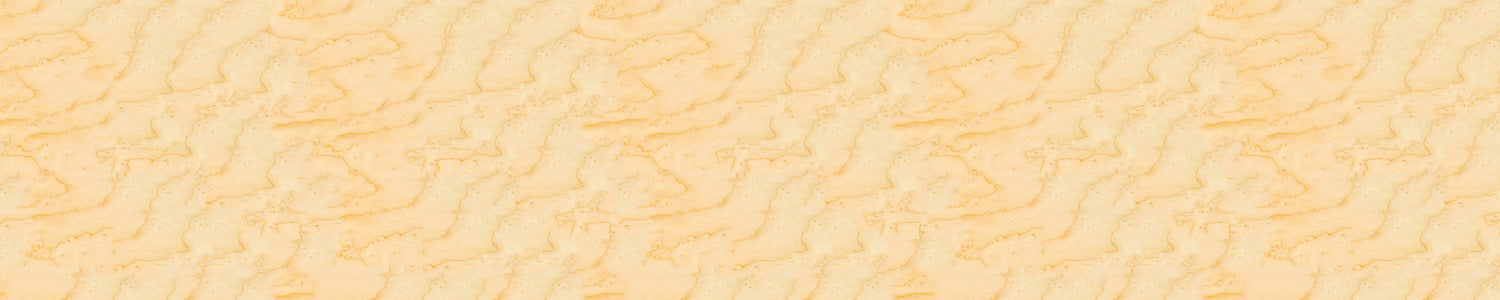 Spritzschutz Küche Holzoptik