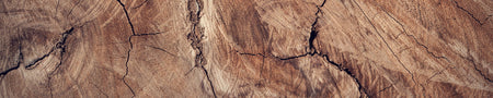 Spritzschutz Küche Holzoptik