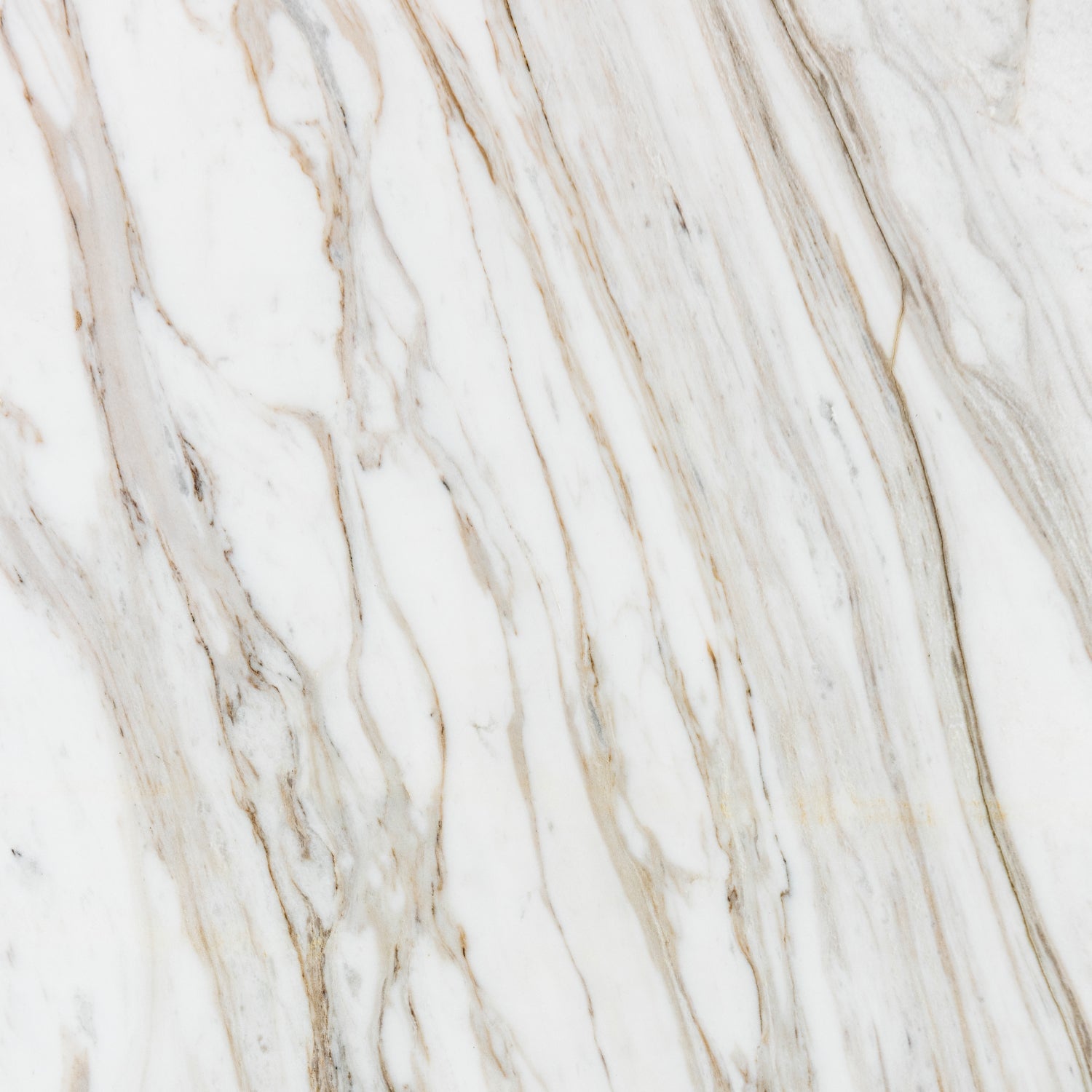 Toilettenrückwand Marmoroptik