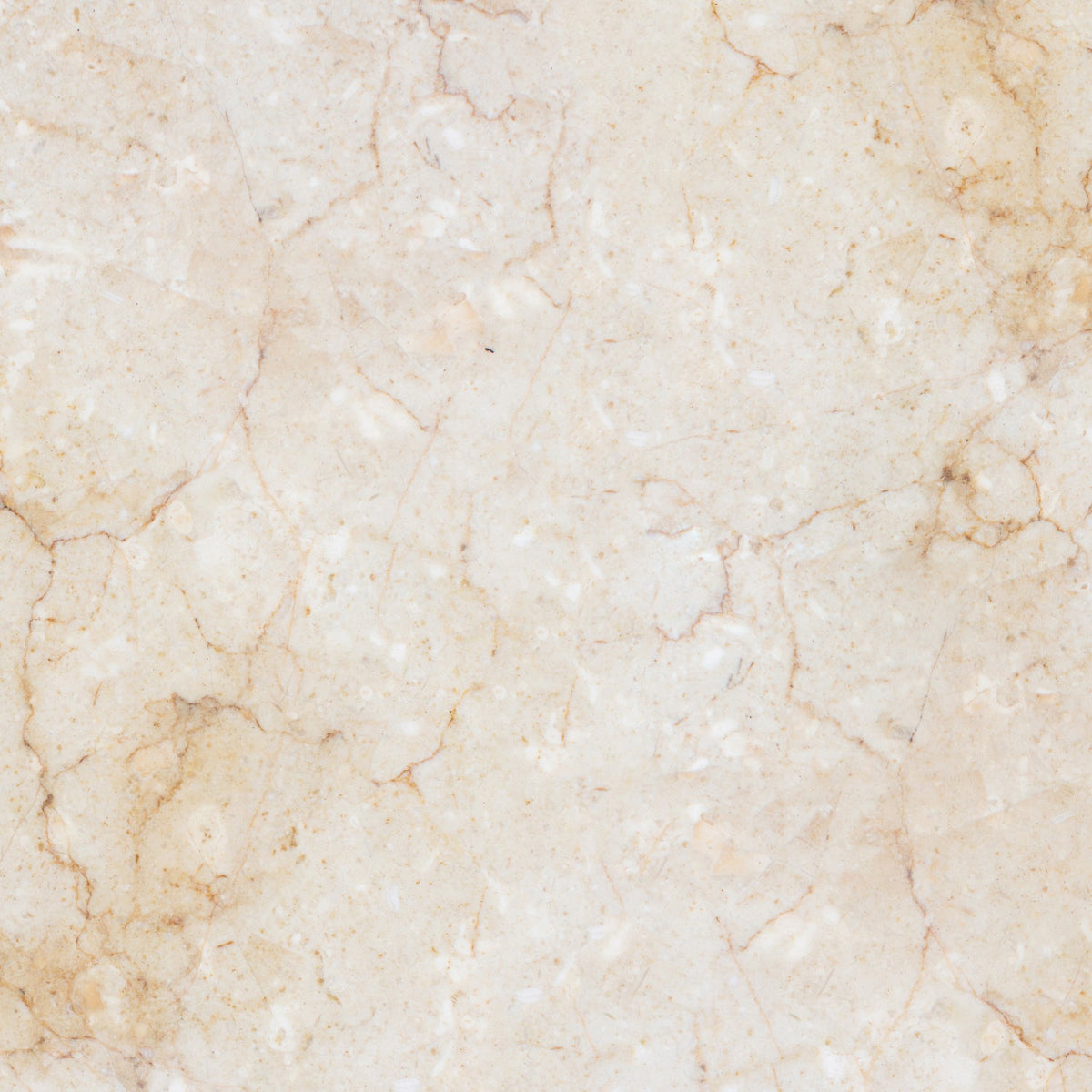 Duschrückwand Marmoroptik