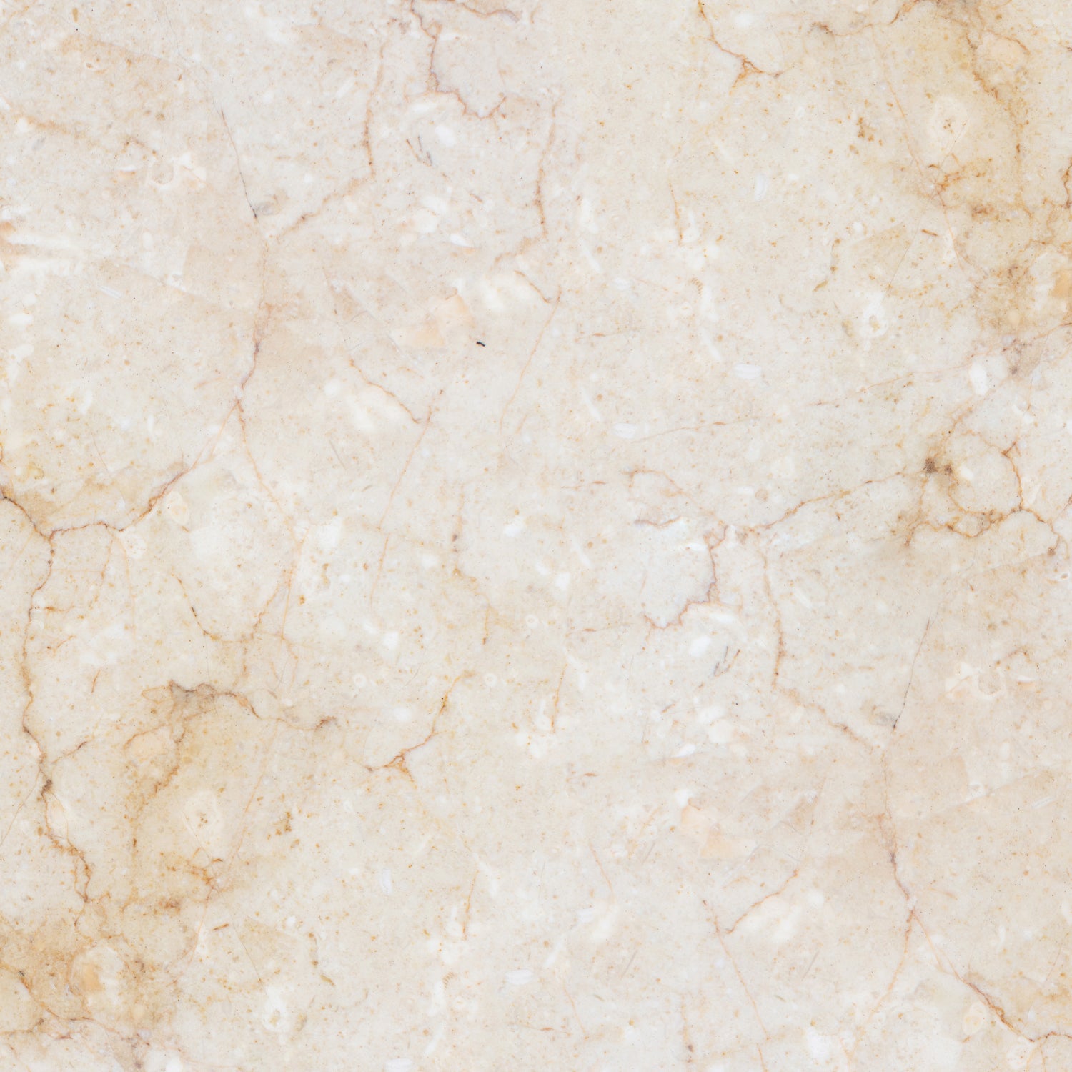 Duschrückwand Marmoroptik