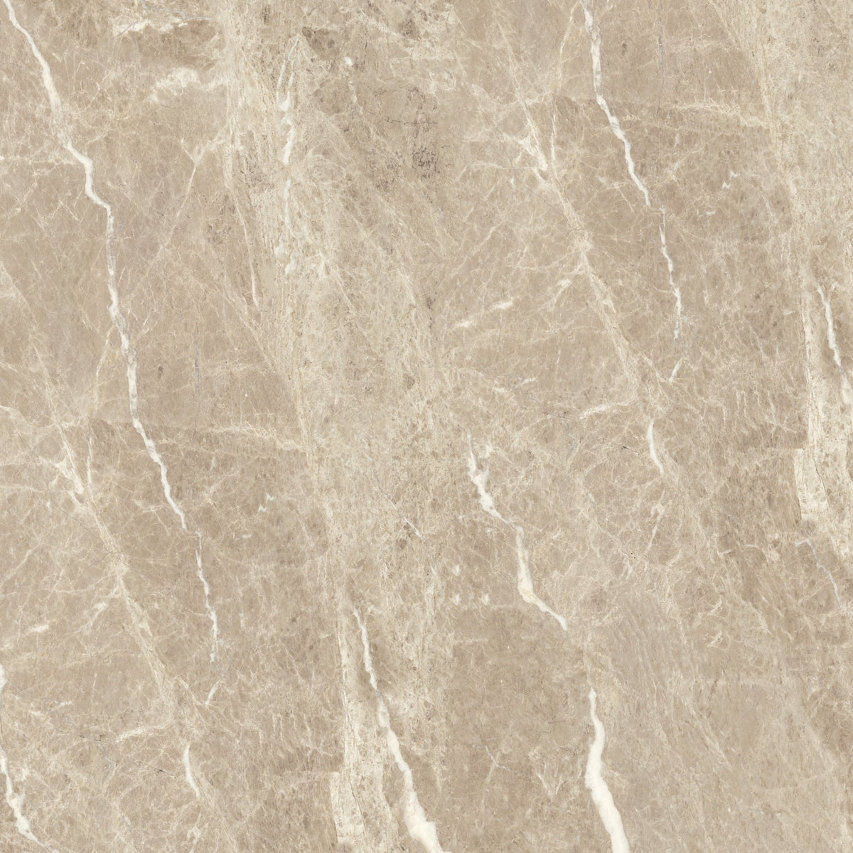 Toilettenrückwand Marmoroptik