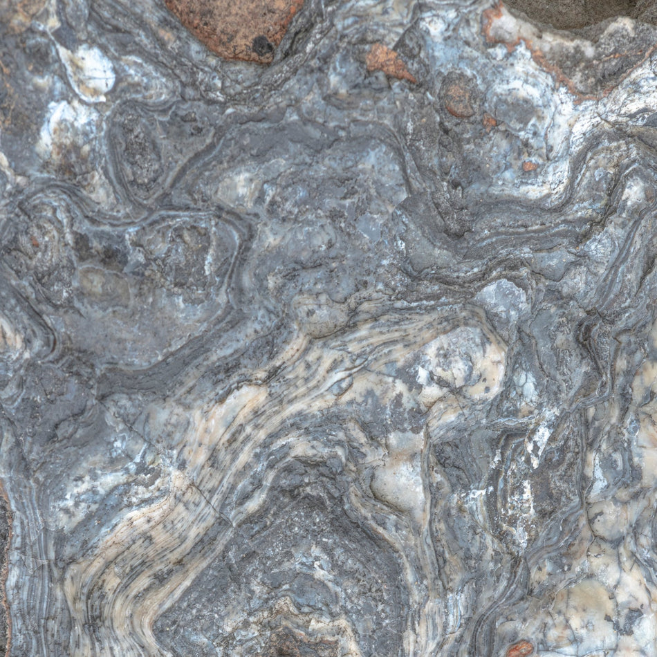 Duschrückwand Marmoroptik