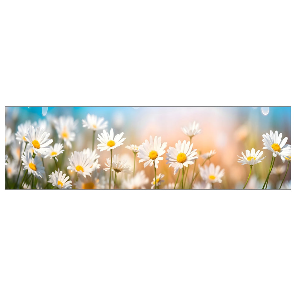 Küchenrückwand Blumenwiese