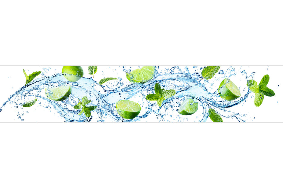 Spritzschutz Küche