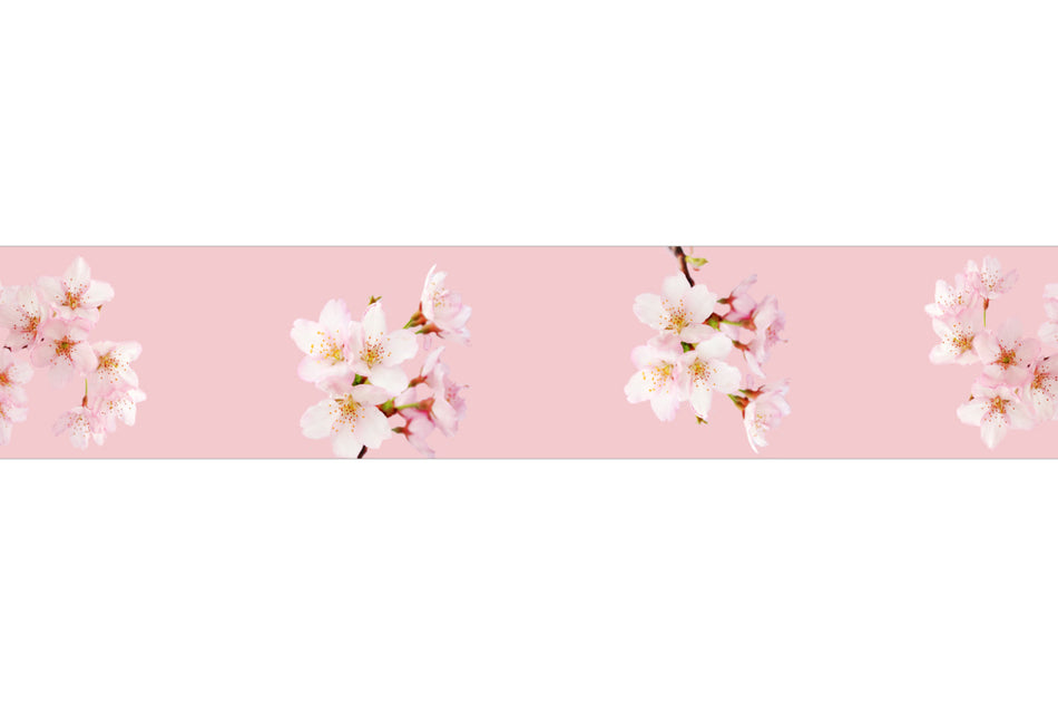 Spritzschutz Küche