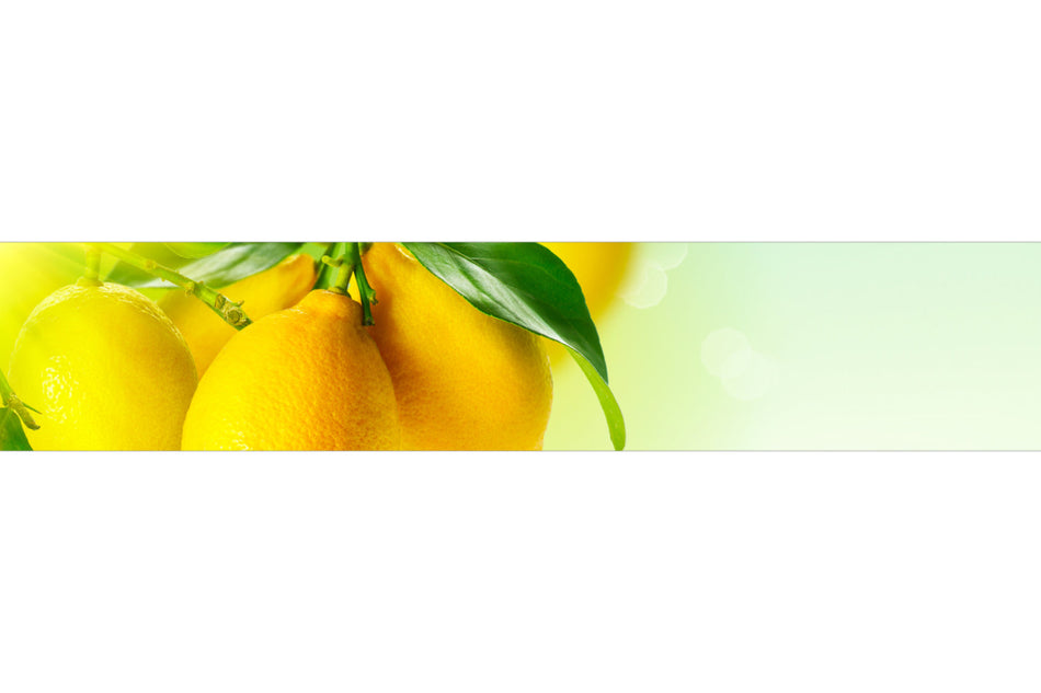 Spritzschutz Küche