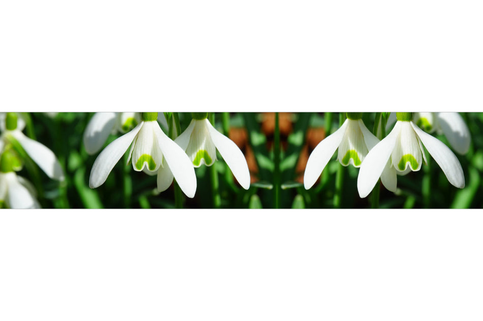 Spritzschutz Küche
