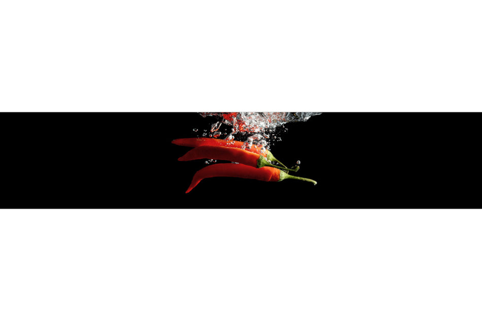 Spritzschutz Küche
