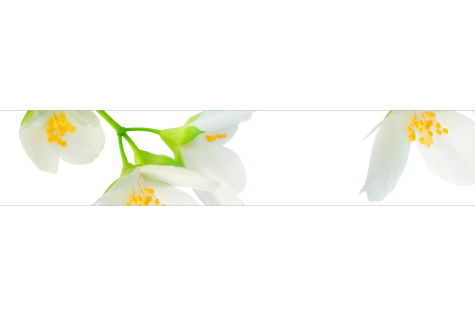 Spritzschutz Küche