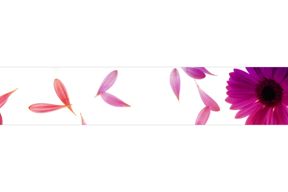Spritzschutz Küche