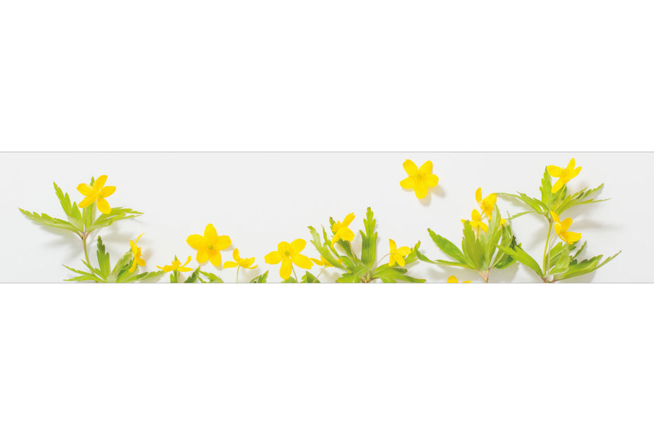 Spritzschutz Küche