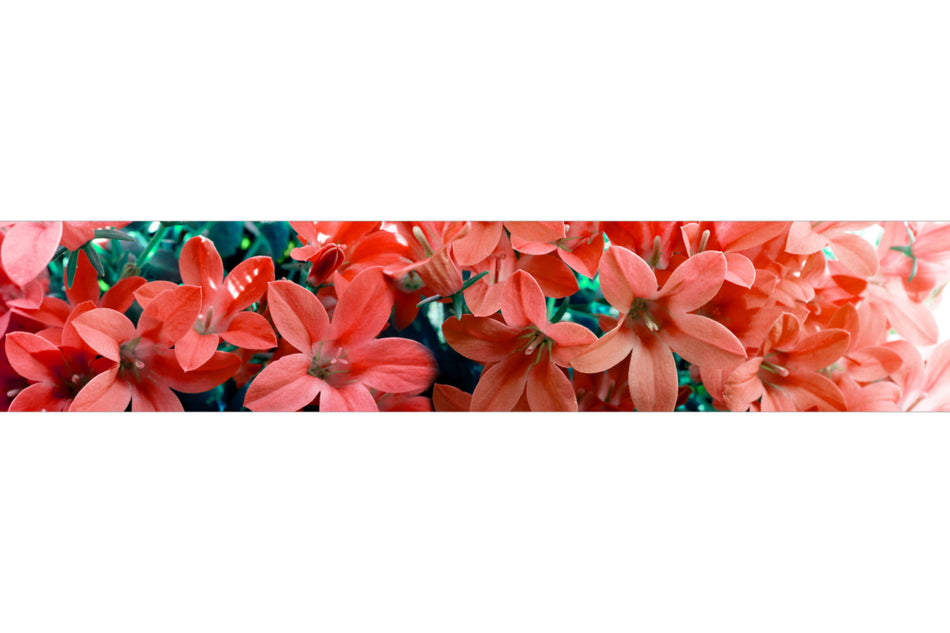 Spritzschutz Küche