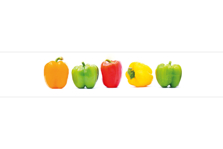 Spritzschutz Küche