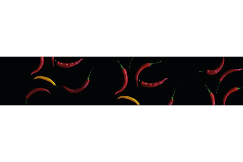 Spritzschutz Küche