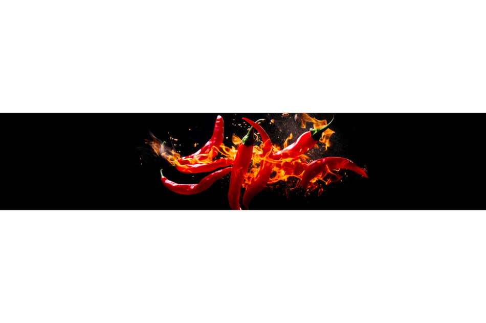 Spritzschutz Küche