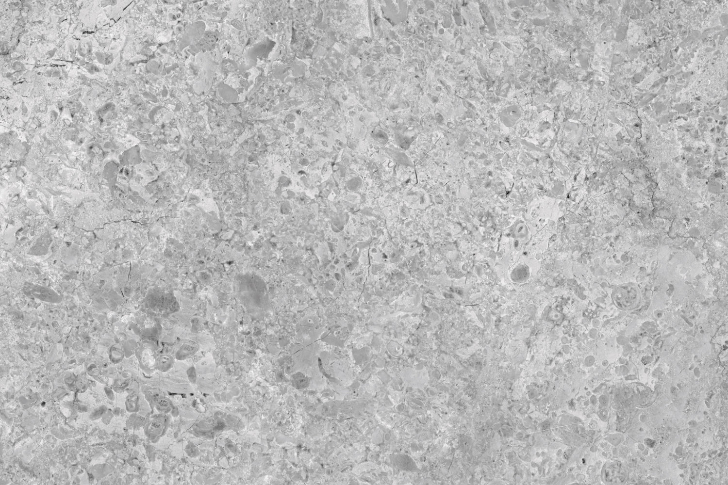 Spritzschutz Küche Betonoptik