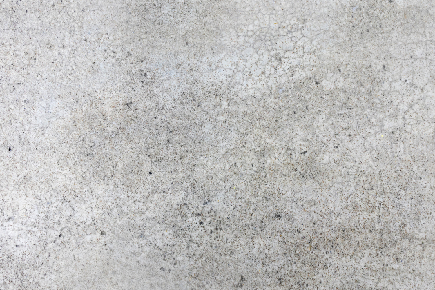 Spritzschutz Küche Betonoptik
