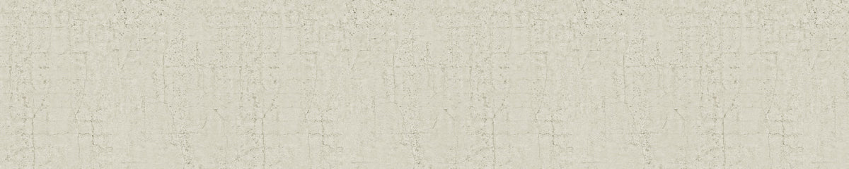 Spritzschutz Küche Betonoptik