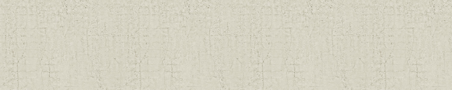 Spritzschutz Küche Betonoptik