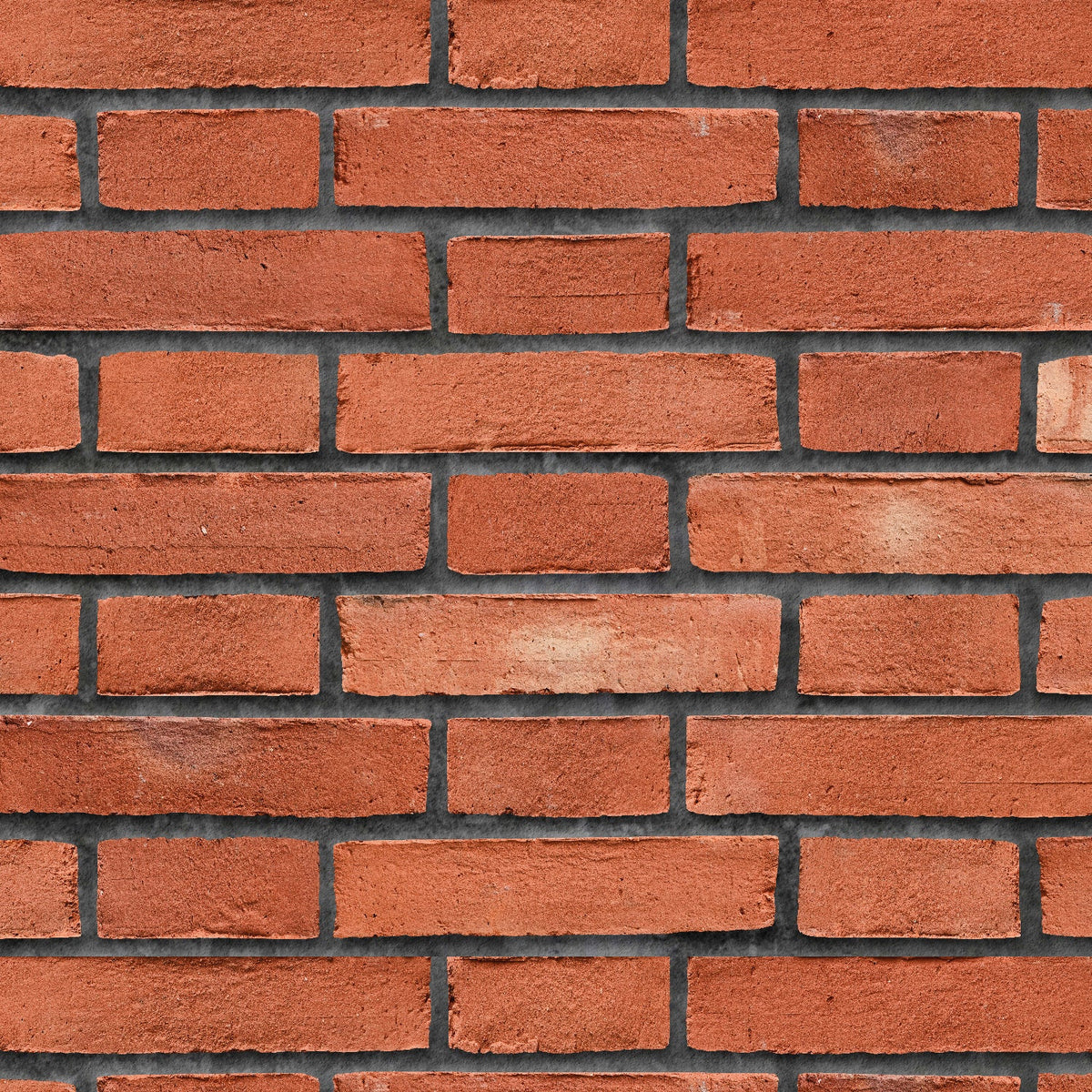 Duschrückwand Steinoptik