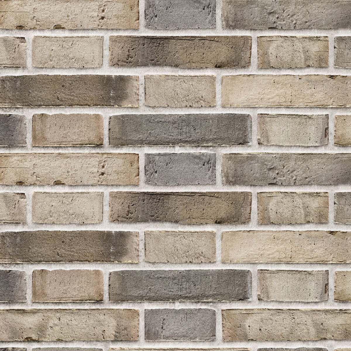 Duschrückwand Steinoptik