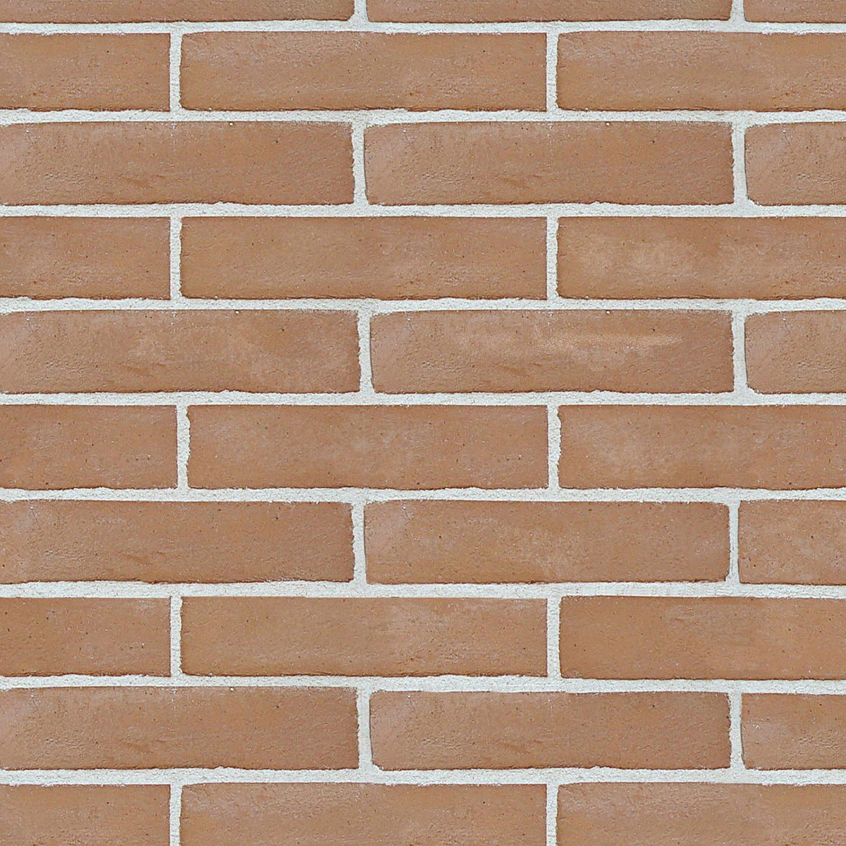 Duschrückwand Steinoptik