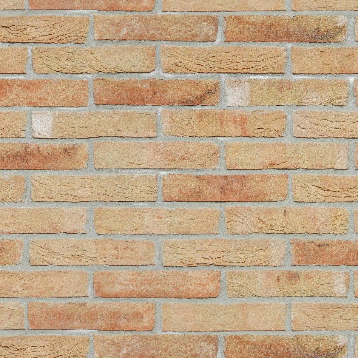 Duschrückwand Steinoptik
