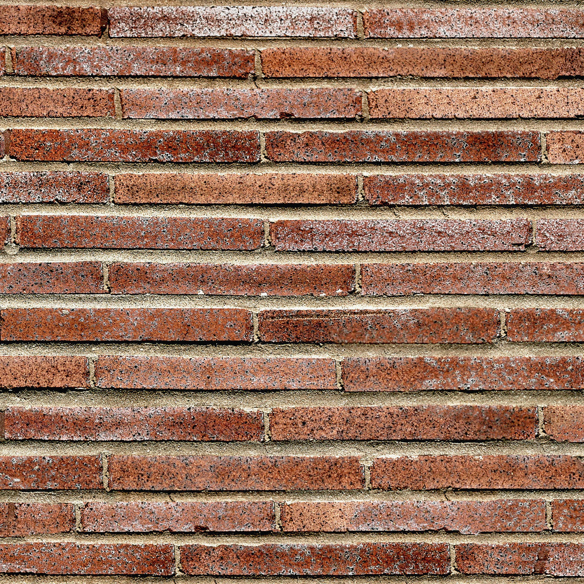 Duschrückwand Steinoptik