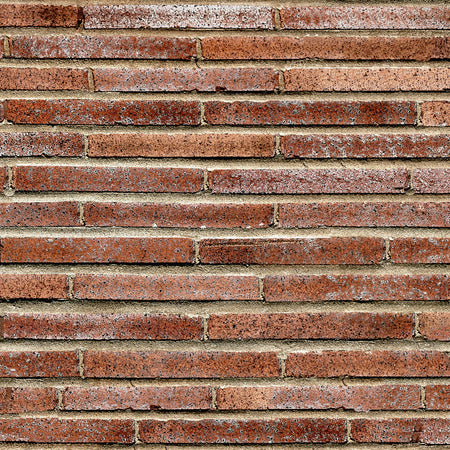 Duschrückwand Steinoptik