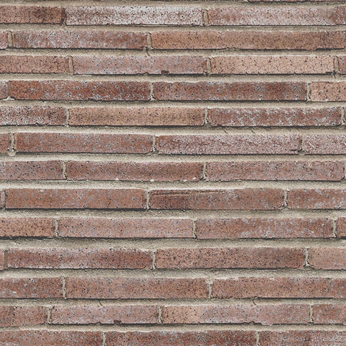 Duschrückwand Steinoptik