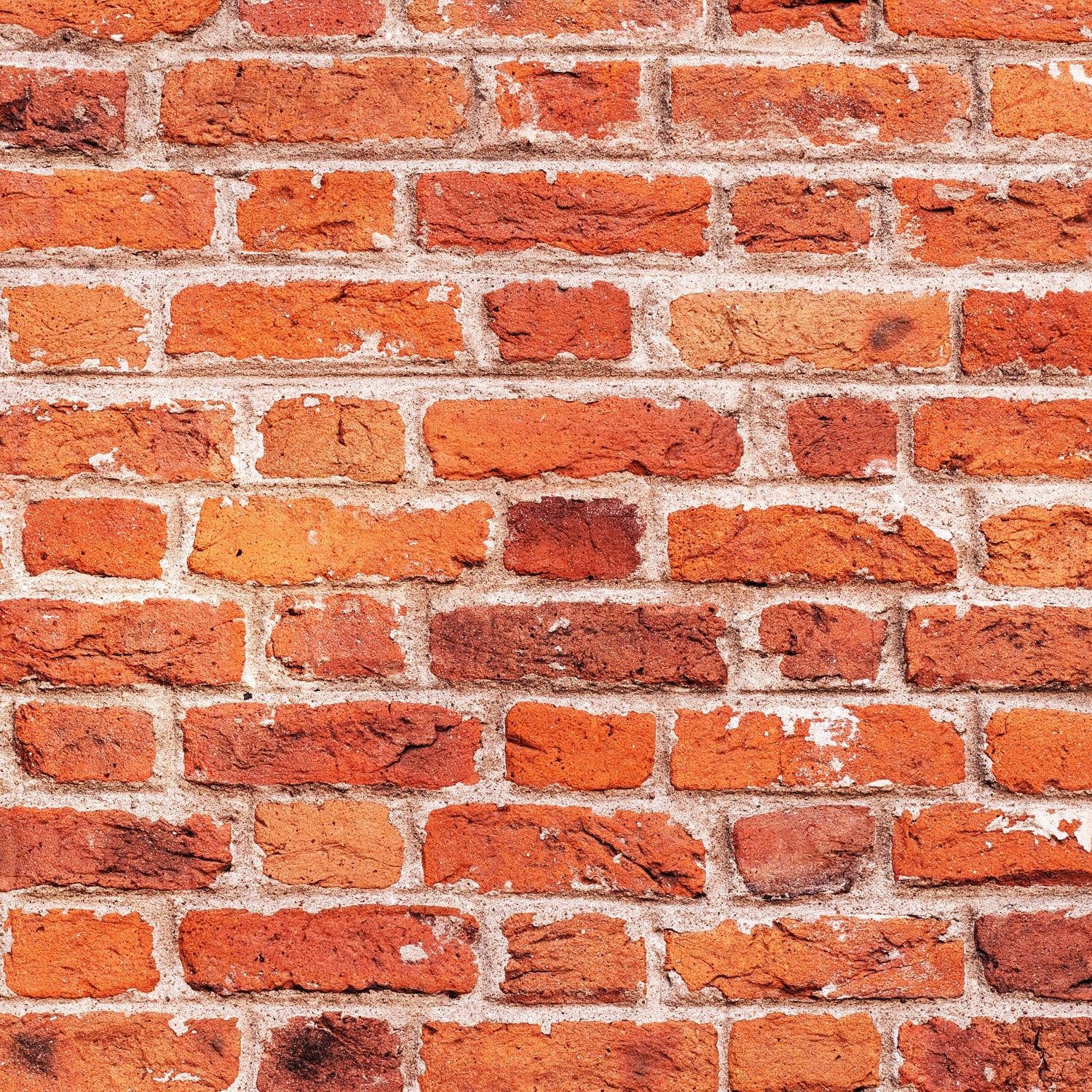 Toilettenrückwand Steinoptik