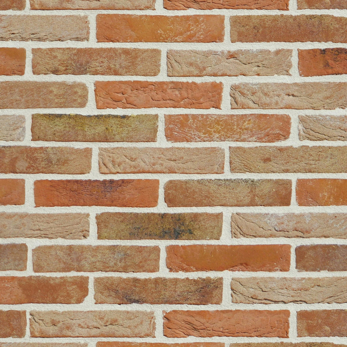 Duschrückwand Steinoptik